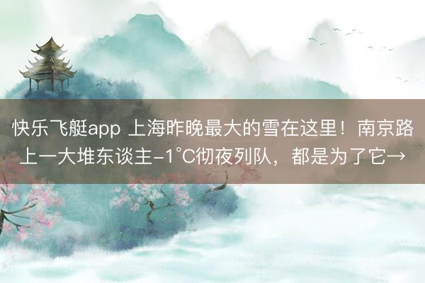 快乐飞艇app 上海昨晚最大的雪在这里!南京路上一大堆东谈主-1°C彻夜列队,都是为了它→