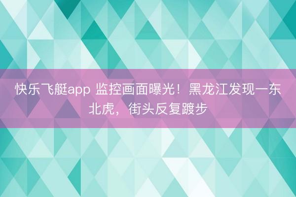快乐飞艇app 监控画面曝光!黑龙江发现一东北虎,街头反复踱步