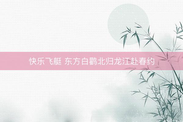 快乐飞艇 东方白鹳北归龙江赴春约