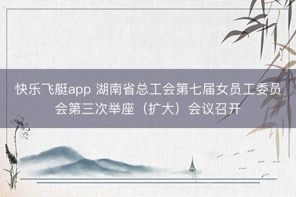 快乐飞艇app 湖南省总工会第七届女员工委员会第三次举座(扩大)会议召开